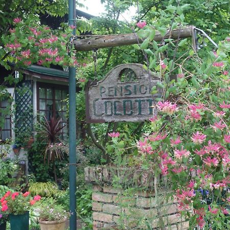 Pension Cocotte ทาคายาม่า ภายนอก รูปภาพ