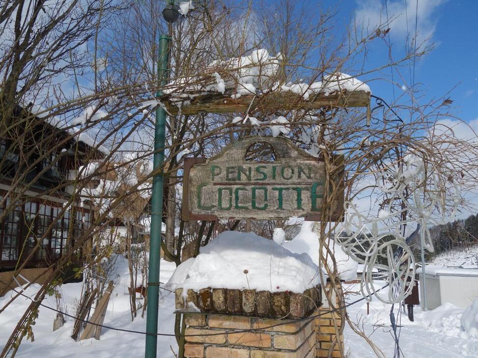 Pension Cocotte ทาคายาม่า ภายนอก รูปภาพ