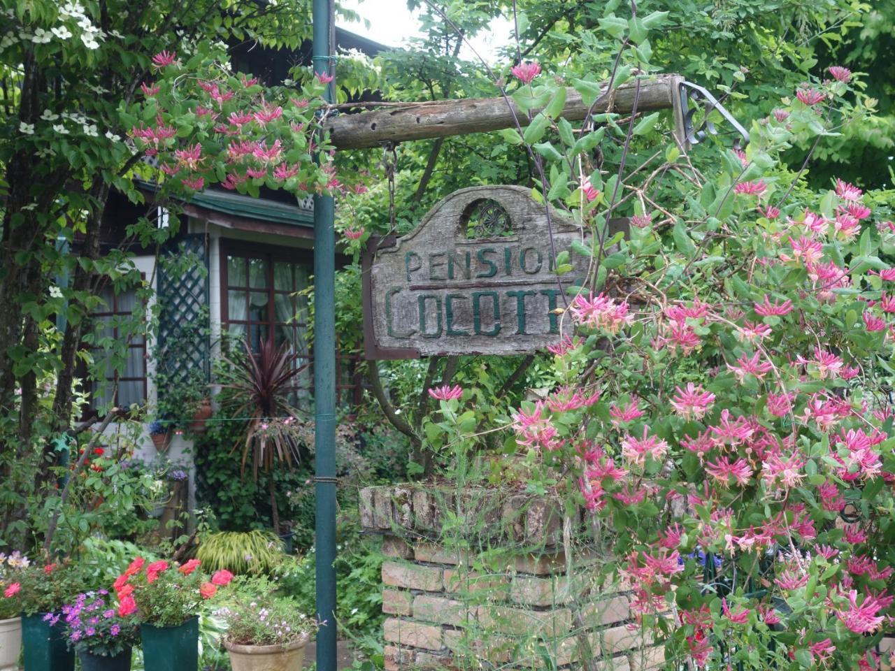 Pension Cocotte ทาคายาม่า ภายนอก รูปภาพ